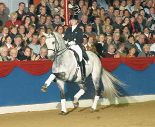 Royal Diamond Royal Diamond