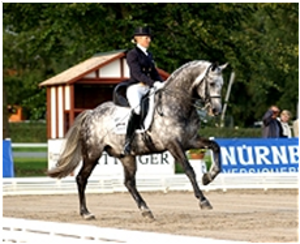 Royal Diamond Royal Diamond