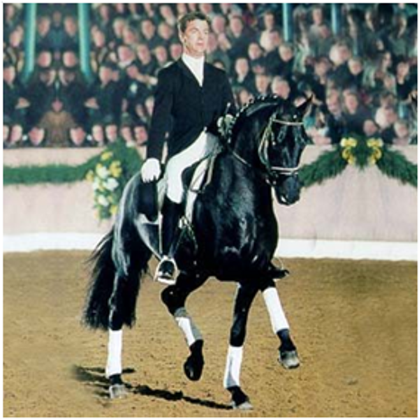 Sandro Hit Sandro Hit