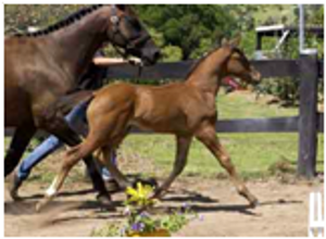 Remi Fifth Avenue Remi Fifth Avenue