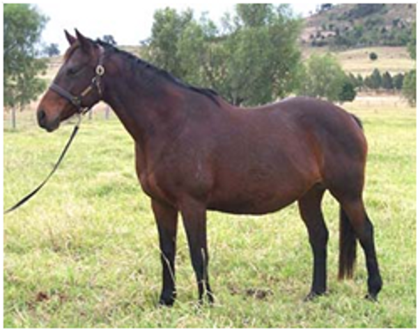 Tynies Rose xx Tynies Rose xx