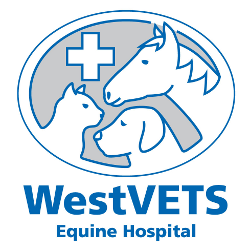 West Vets West Vets