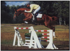 Wolkenstein II Wolkenstein II