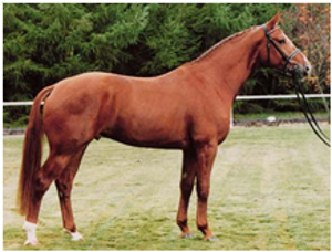 Wolkenstein II Wolkenstein II