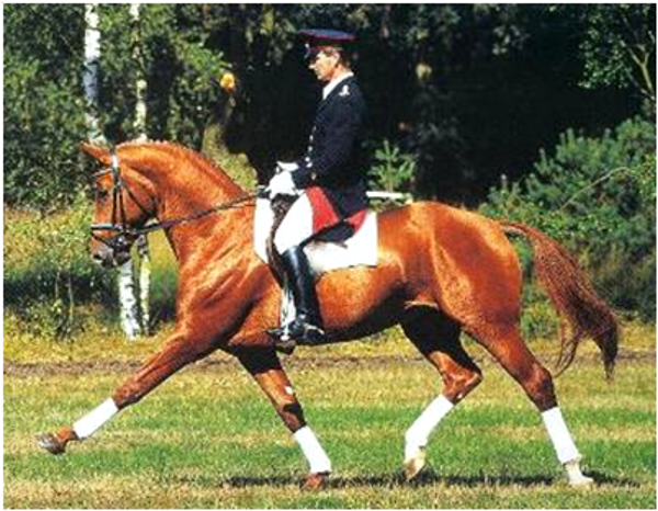 Wolkenstien II Wolkenstien II