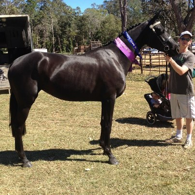 Remi New Leather Remi New Leather