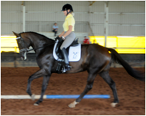 Remi First Lady EMC Remi First Lady EMC