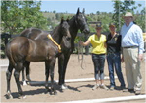 Remi First Lady EMC Remi First Lady EMC