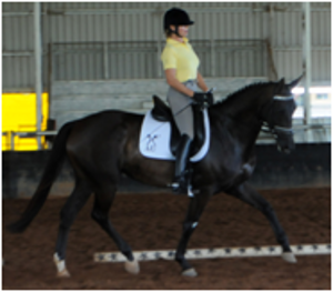 Remi First Lady EMC Remi First Lady EMC