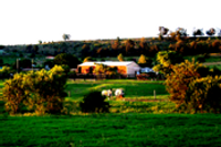 Home Remi Stud Home Remi Stud