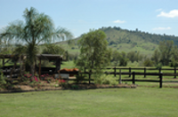 Home Remi Stud Home Remi Stud