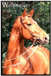 Weltmeyer Weltmeyer